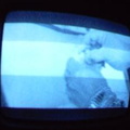 2006 01 10 10 20 20