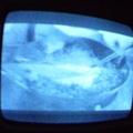 2006 01 10 10 22 10