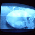 2006 01 10 10 22 50