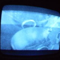 2006 01 10 10 23 40