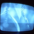 2006 01 10 10 31 01