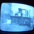2006 01 10 10 34 51