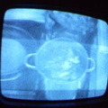 2006 01 10 10 40 02