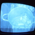 2006 01 10 10 40 52