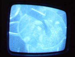 2006 01 10 10 42 12