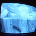 2006 01 10 10 42 52