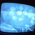 2006 01 10 10 43 52