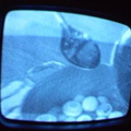 2006 01 10 10 44 02