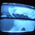 2006 01 10 10 45 42