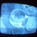 2006 01 10 10 46 22
