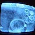 2006 01 10 10 46 32