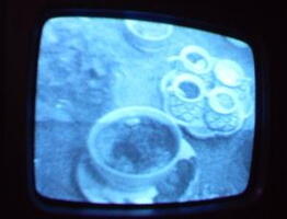 2006 01 10 10 46 42