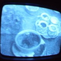 2006 01 10 10 46 42