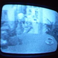 2006 01 10 10 47 02