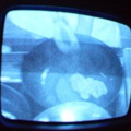 2006 01 10 10 47 52