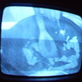 2006 01 10 10 48 22