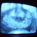 2006 01 10 10 49 12
