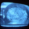 2006 01 10 10 50 02