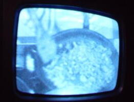 2006 01 10 10 50 22