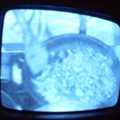 2006 01 10 10 50 22