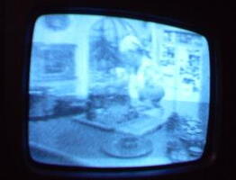 2006 01 10 10 51 22