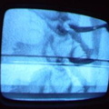 2006 01 10 10 58 03