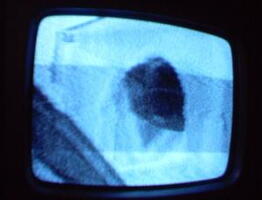 2006 01 10 11 00 13