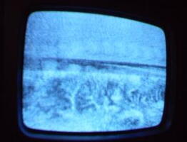 2006 01 10 11 02 13