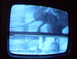 2006 01 10 11 11 05