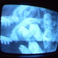 2006 01 10 11 13 15