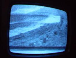 2006 01 10 11 15 46