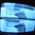 2006 01 10 11 20 16