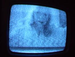 2006 01 10 11 24 26
