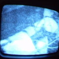 2006 01 10 11 25 36