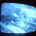 2006 01 10 11 26 17