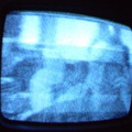 2006 01 10 11 36 27