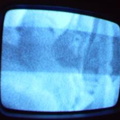 2006 01 10 11 40 37