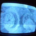 2006 01 10 11 41 28