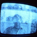2006 01 10 11 52 19
