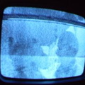 2006 01 10 11 53 19