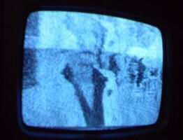 2006 01 10 11 53 39