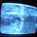 2006 01 10 11 54 49