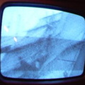 2006 01 10 12 01 59