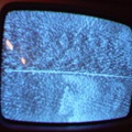 2006 01 10 12 06 19