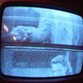 2006 01 10 12 06 29