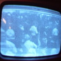 2006 01 10 12 17 09