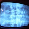 2006 01 10 12 18 19