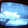 2006 01 10 12 20 19