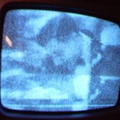 2006 01 10 12 20 30