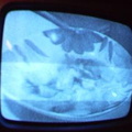2006 01 10 12 31 50